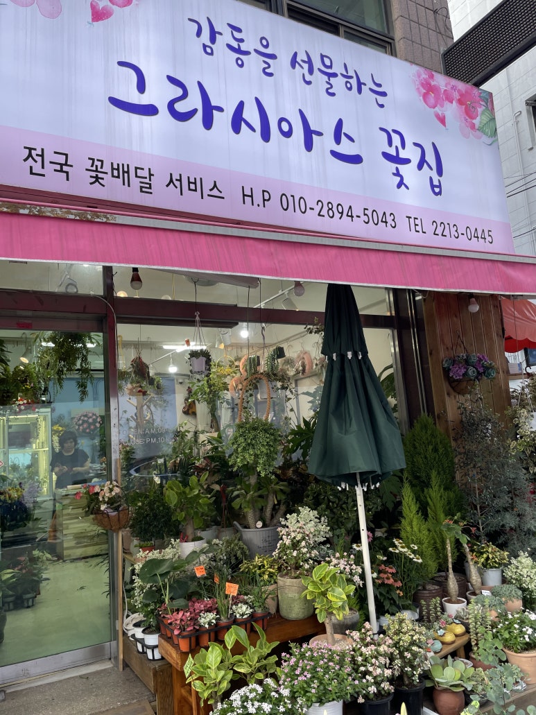 그라시아스꽃집 이미지