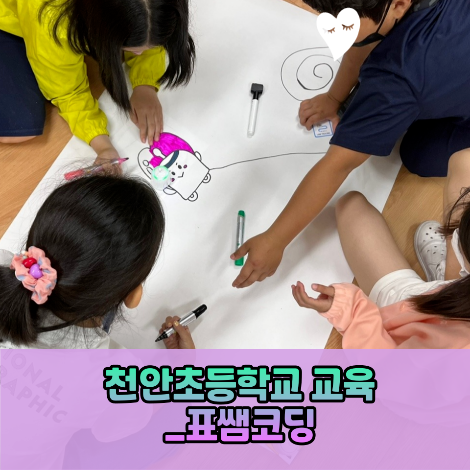 표쌤코딩 이미지