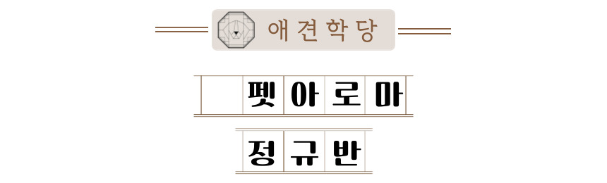 애견학당펫푸드전문학원 이미지