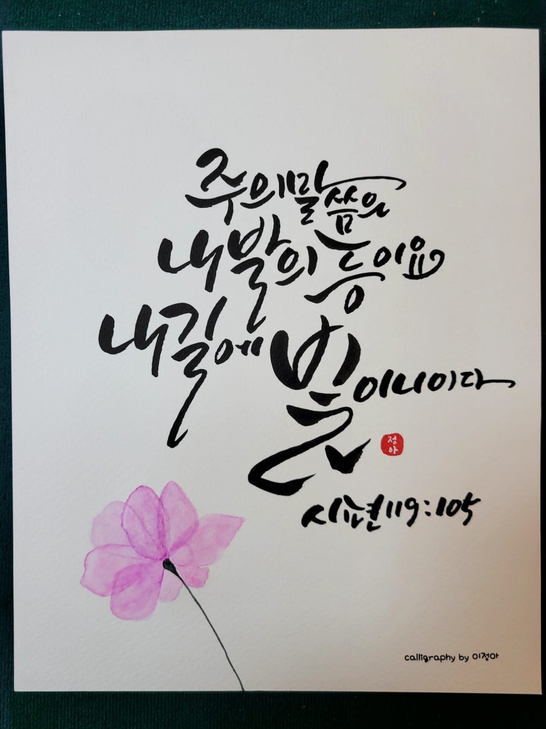 캘리스테이 이미지