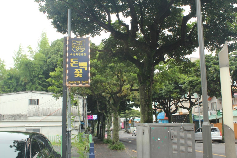 돈백꽃서귀포점 이미지