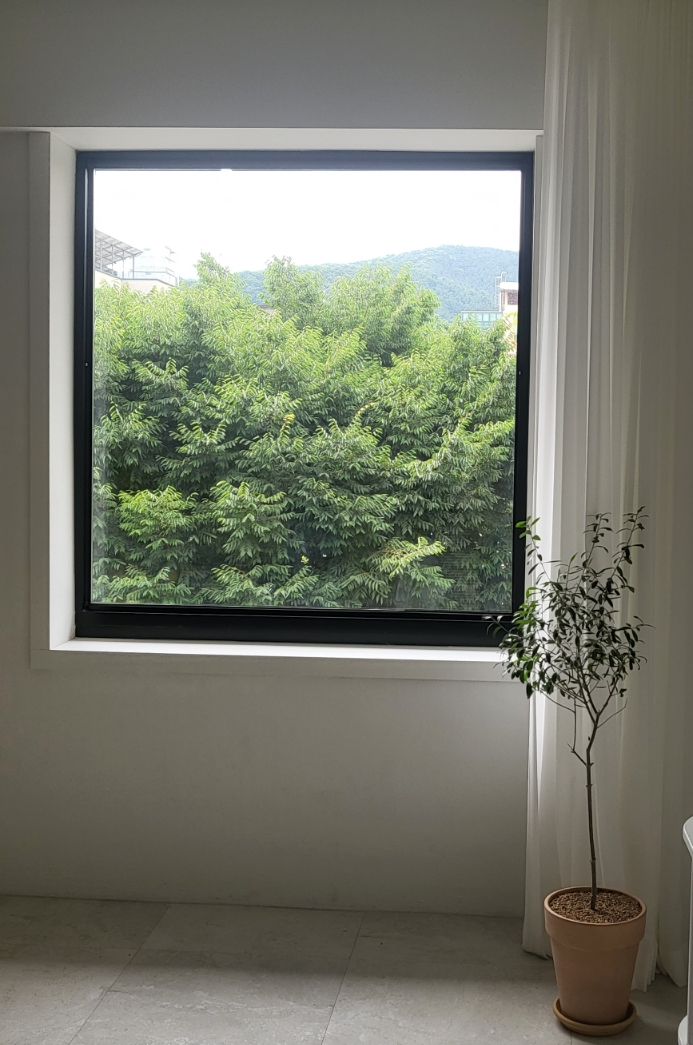 헤이메이트 이미지