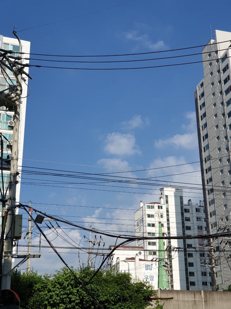 일월일일스튜디오 이미지