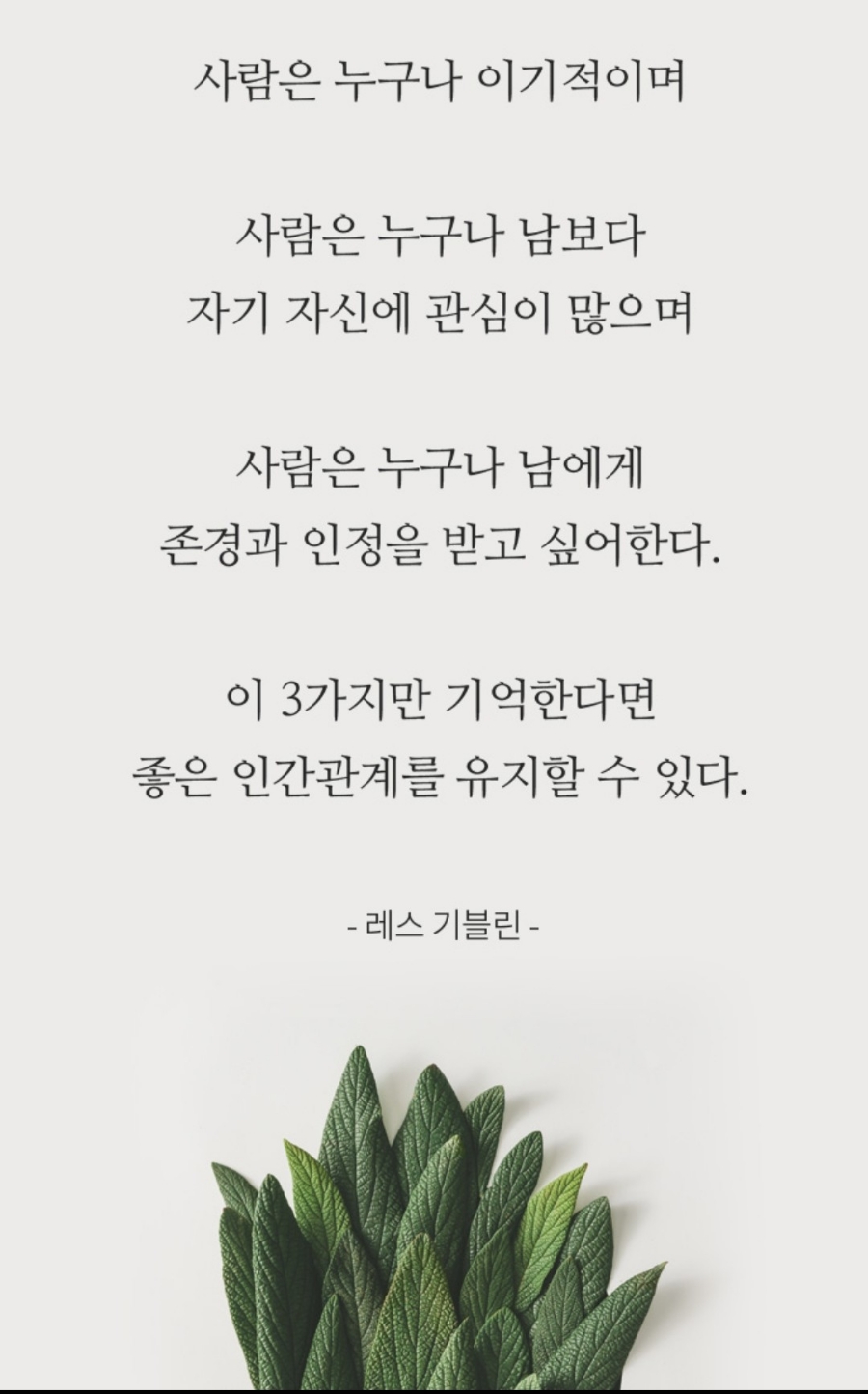 카페쿠잉 이미지