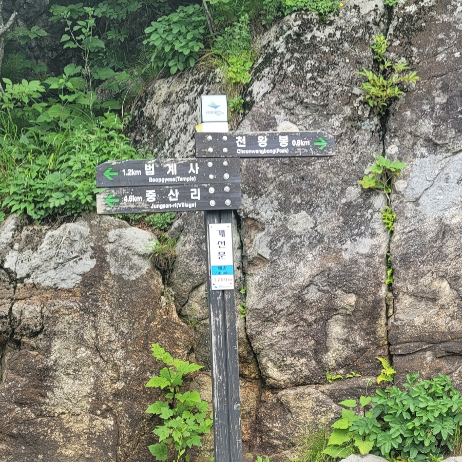 박지현의참조은잠자리꿀잠 이미지