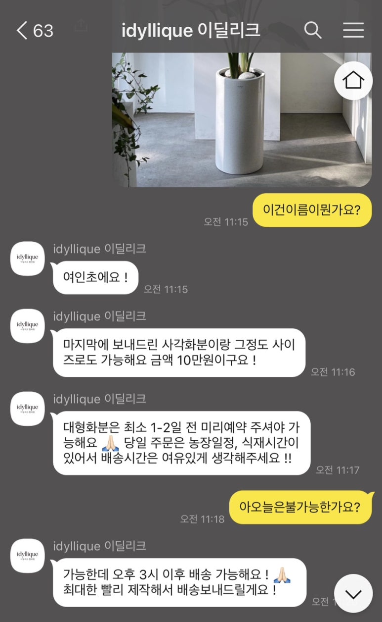 이딜리크 이미지
