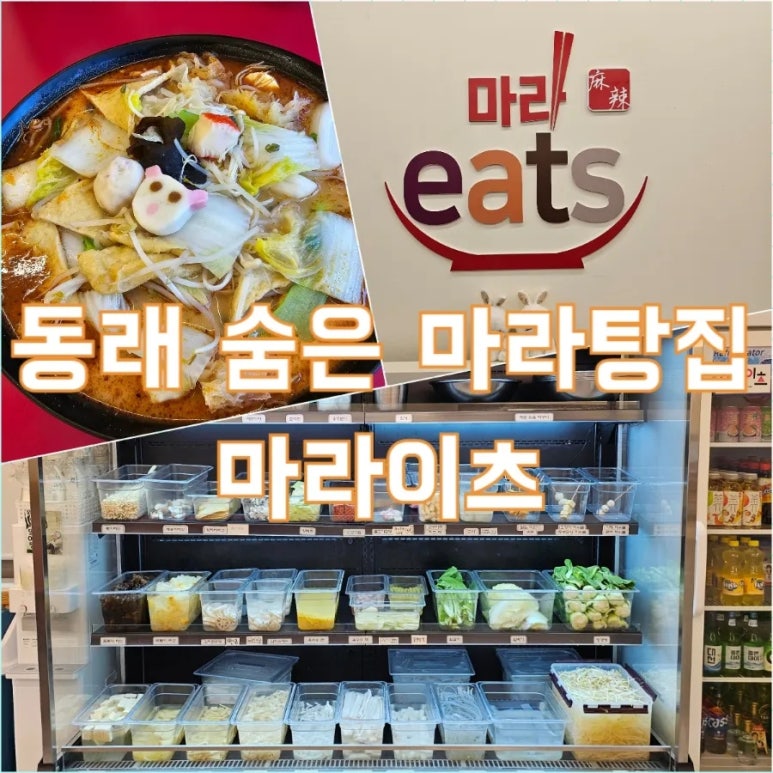 마라이츠 이미지