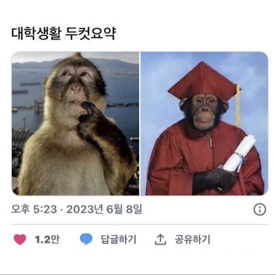 선몰 이미지