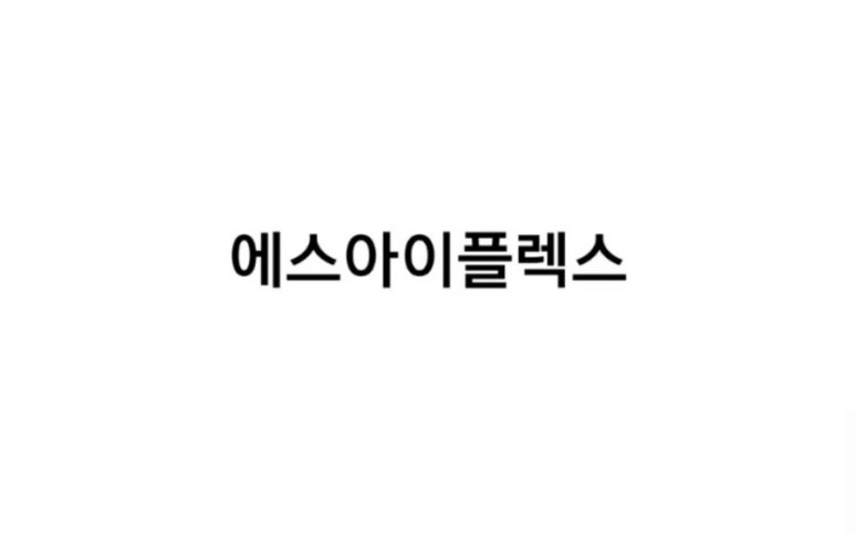 에스아이글로벌주식회사 이미지