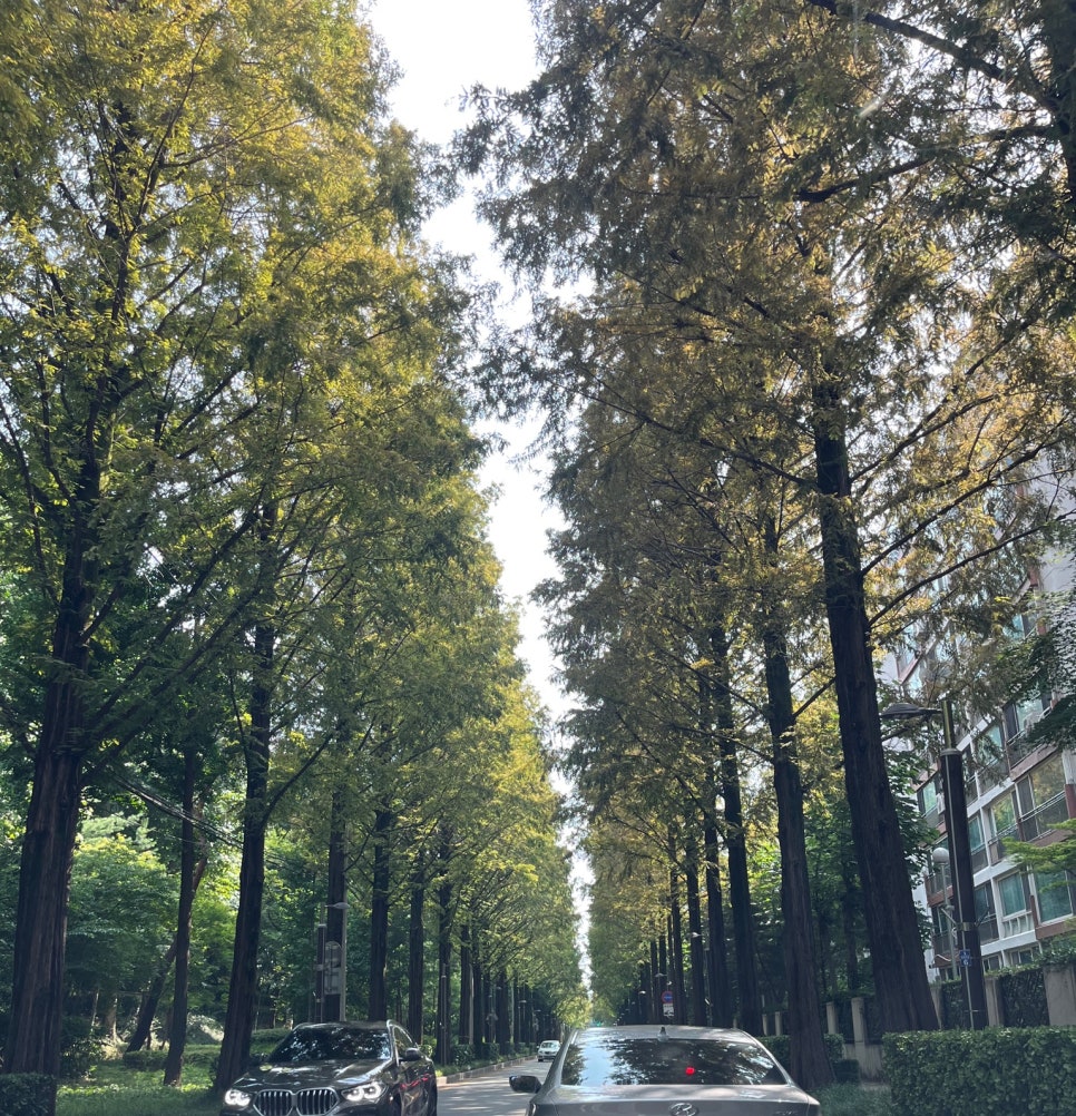 커피전빵 이미지