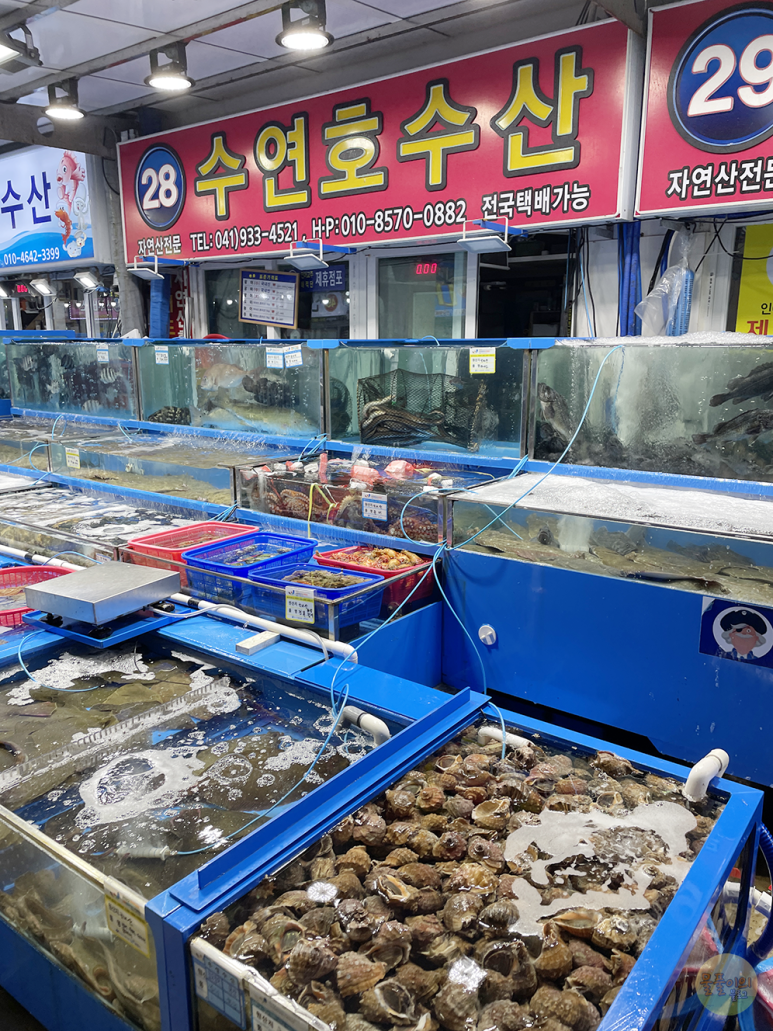 우성수산 이미지