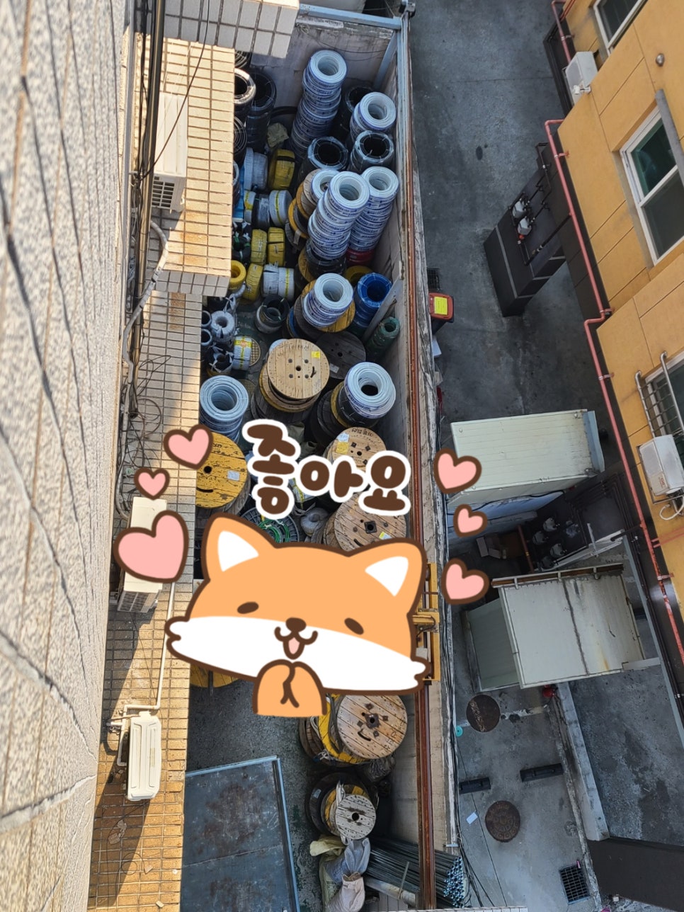 동림전기조명 이미지