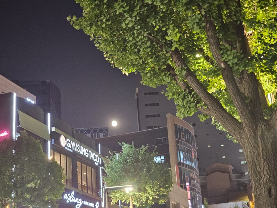 애플행정사사무소 이미지