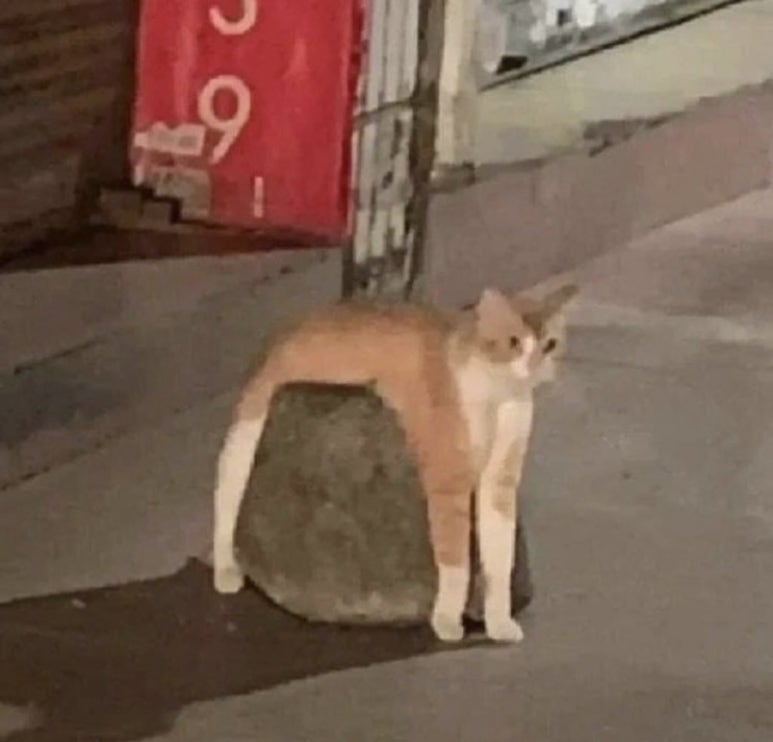 더풋샵전답뉴타운점 이미지
