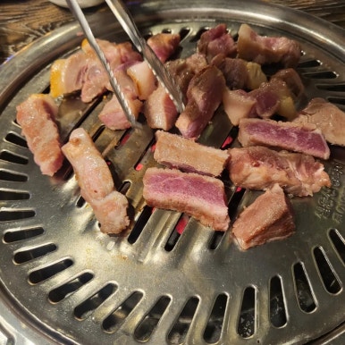 도둑고기임학점 이미지