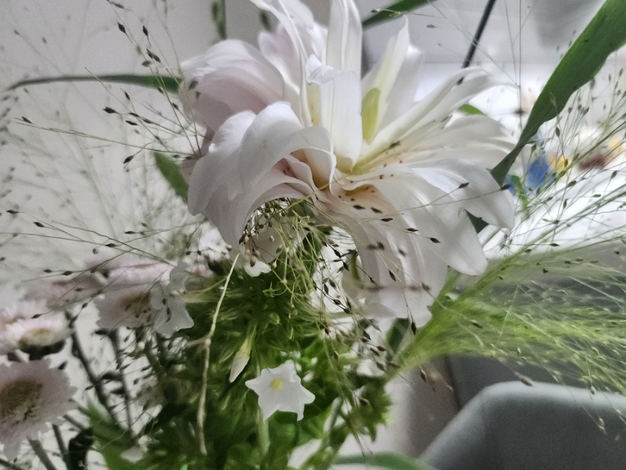 네로앤제이 이미지