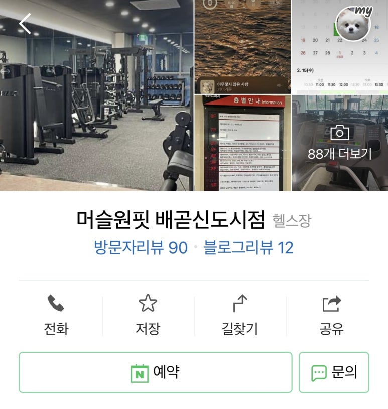 머슬원핏배곧 이미지