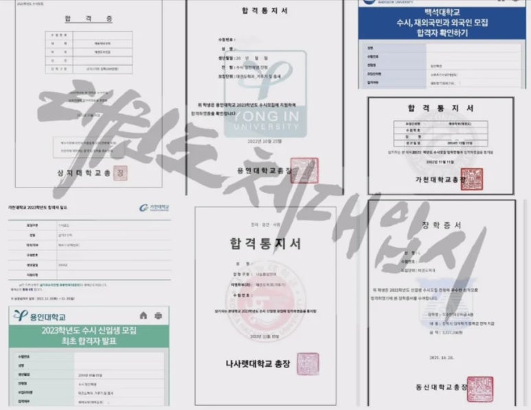 한국태권도컨설팅 이미지
