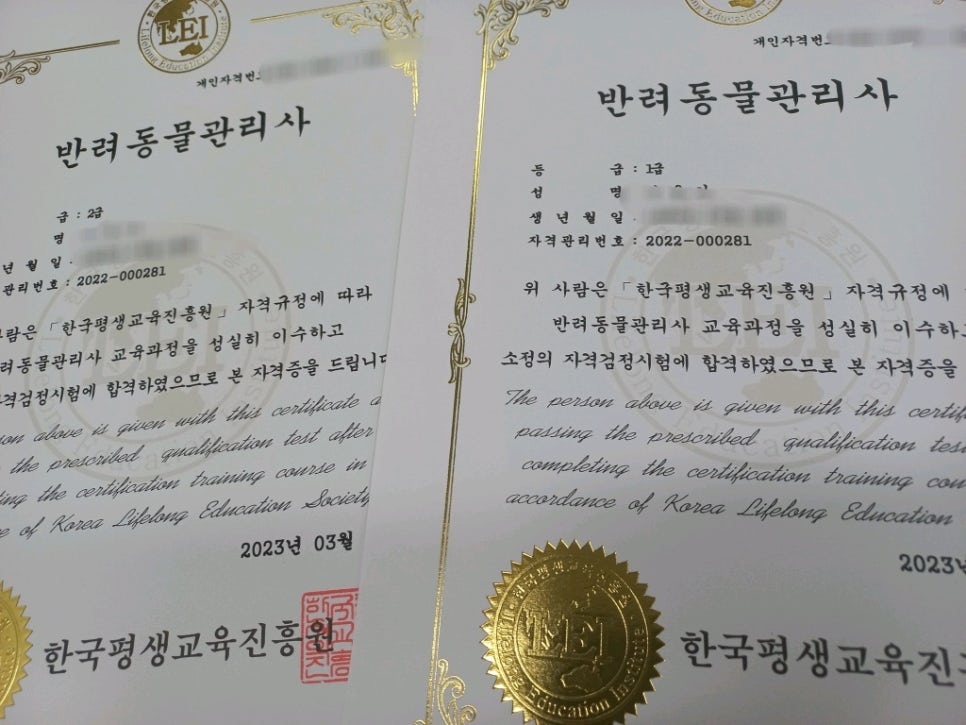 다행취업정보센타 이미지