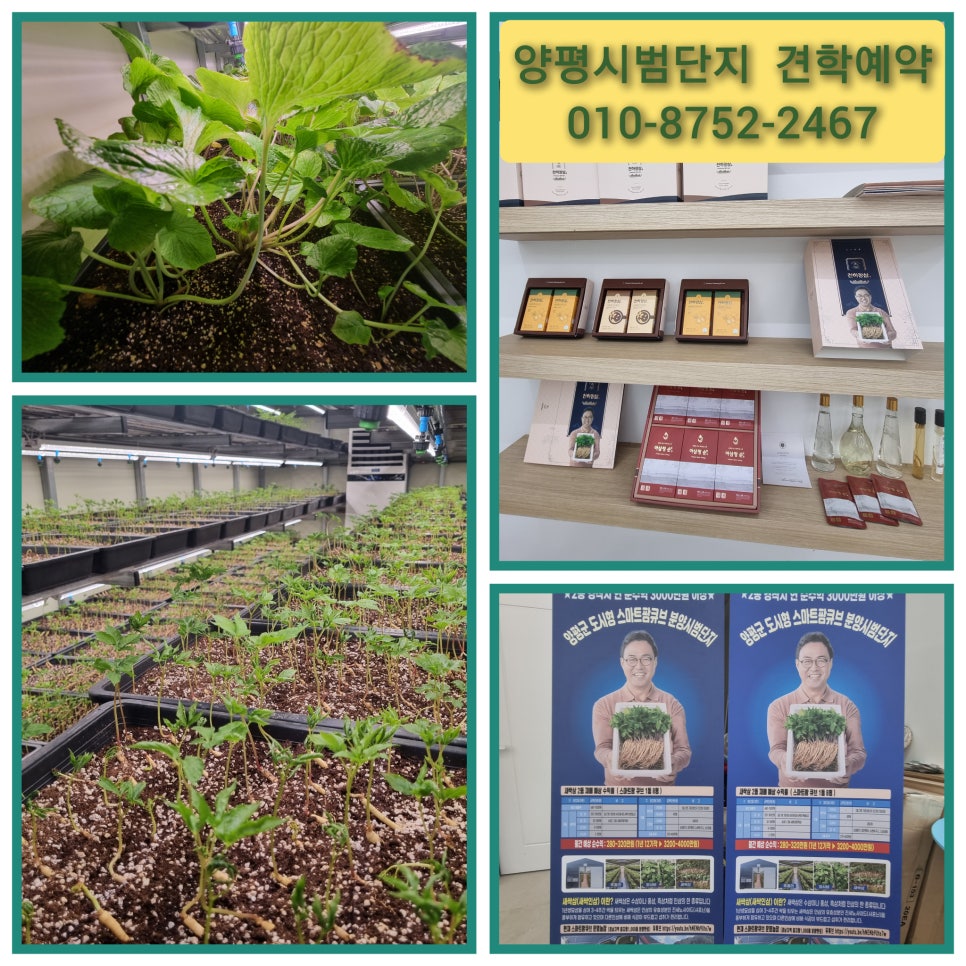 드림큐브시스템 이미지