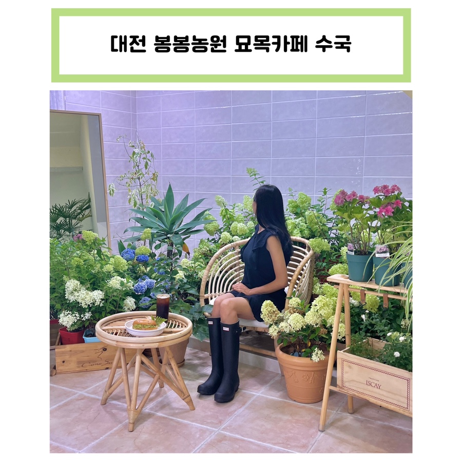 봉봉농원묘목카페 이미지
