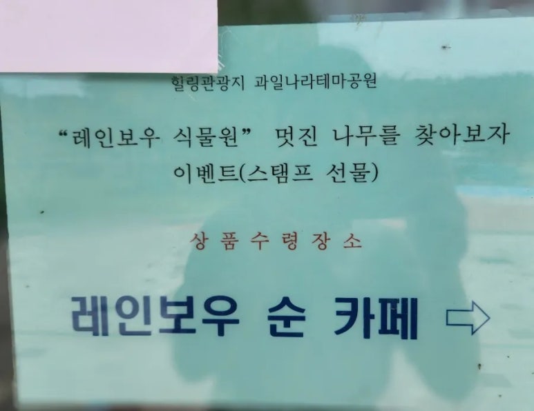레인보우순카페 이미지