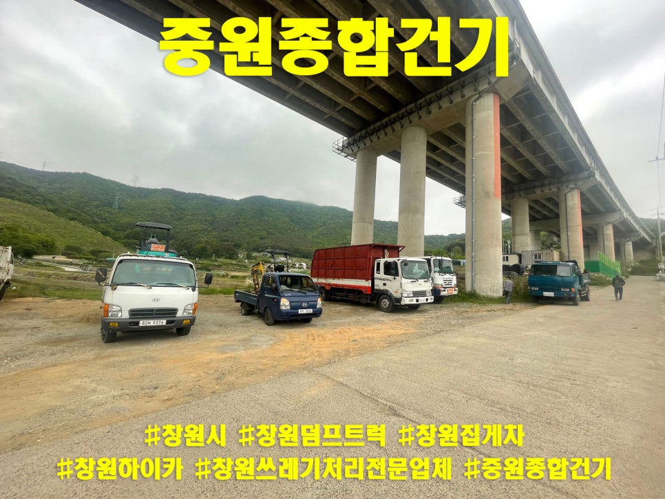 중원건기 이미지