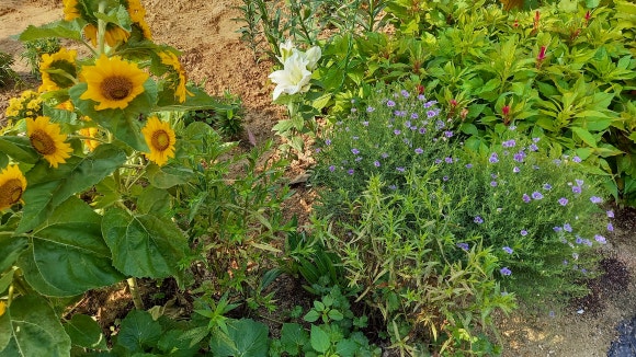 (주)뜨락 이미지