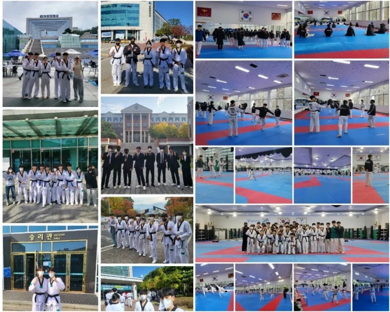 한국태권도컨설팅 이미지