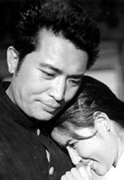 상록수(Evergreen) 이미지