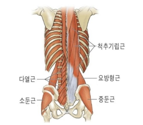 부산피티샵더원짐동래래미안점 이미지