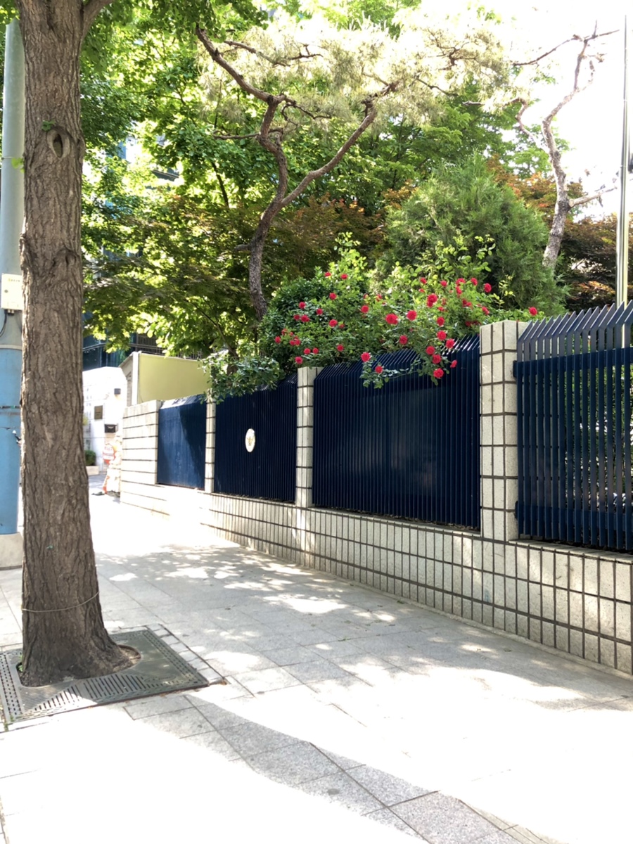 프레드매스 이미지