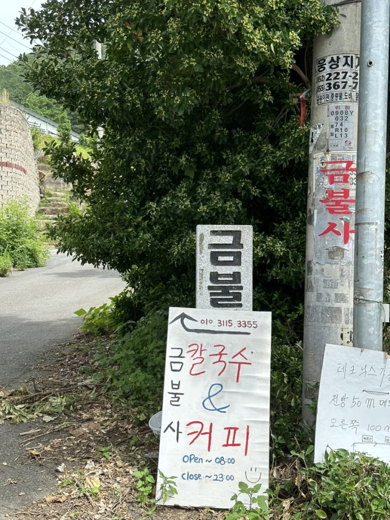 금불사 칼국수 이미지