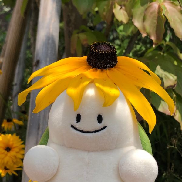 나무요일 이미지