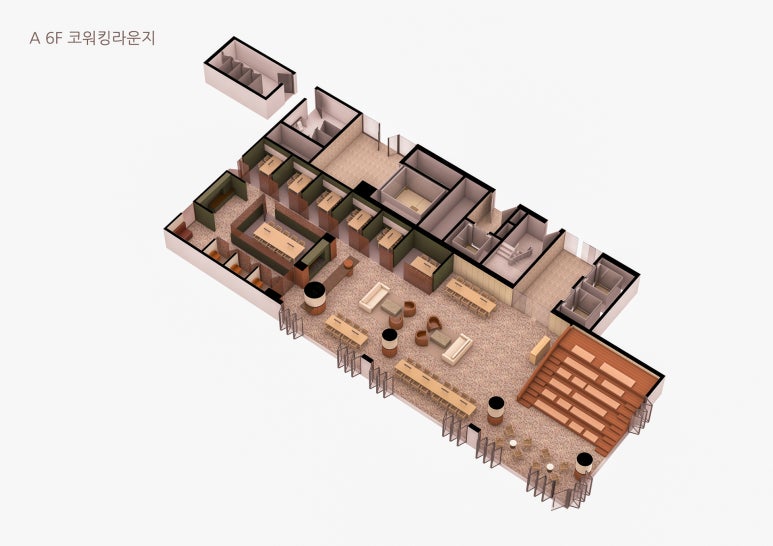 정화양발 이미지