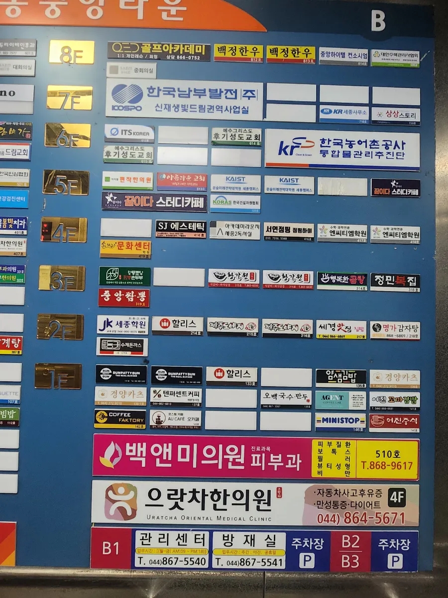 두번째동카 이미지