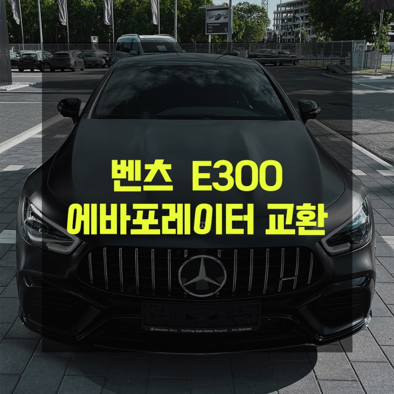 대관령모터스 이미지