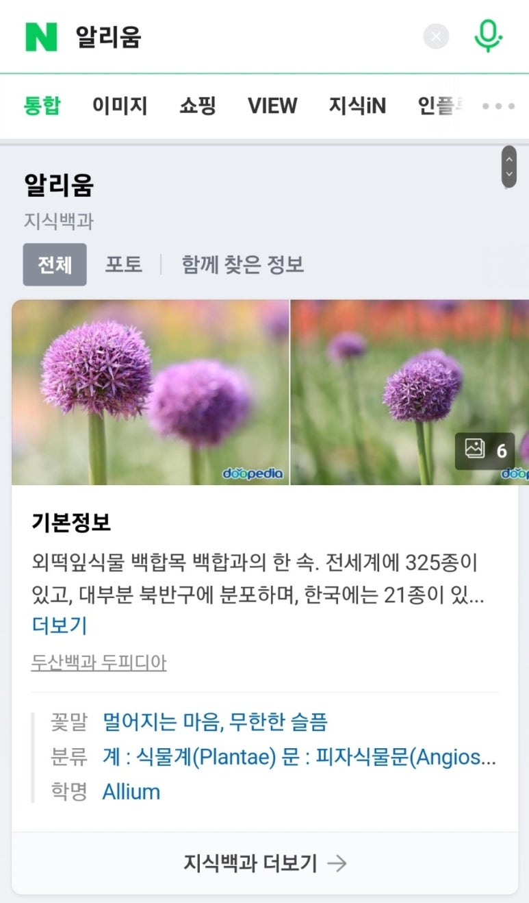 보로하 이미지