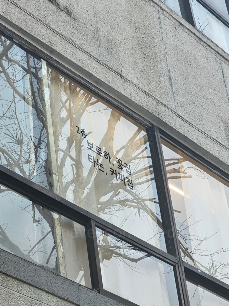 보로하 이미지