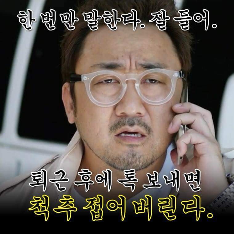 신비반점 이미지