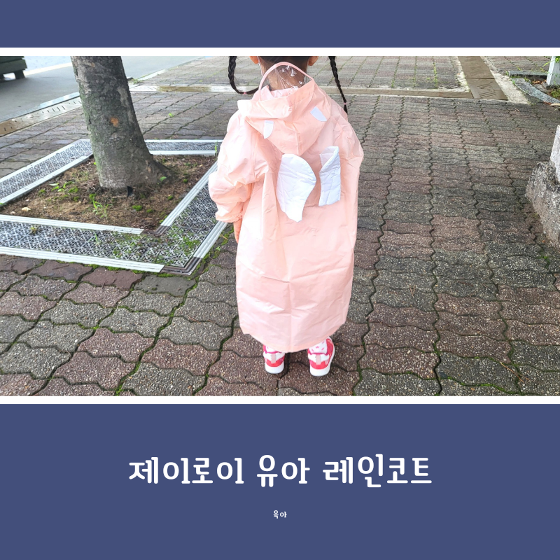 제이로이 이미지