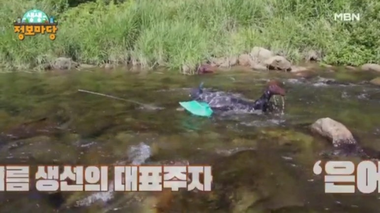 섬진강횟집 이미지