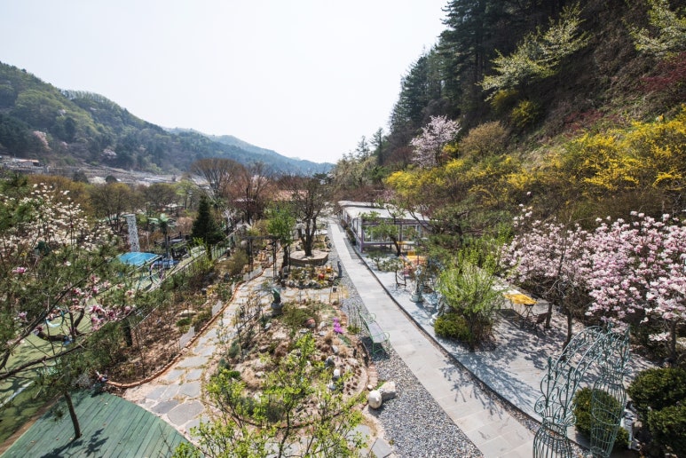카페타샤 이미지