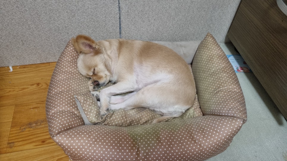 소미분식 이미지