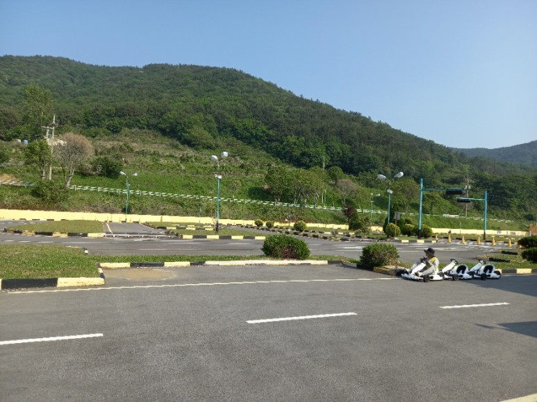 노랑카라반 이미지