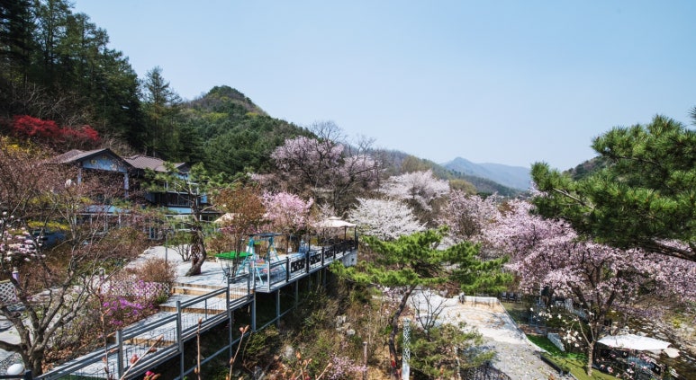 카페타샤 이미지