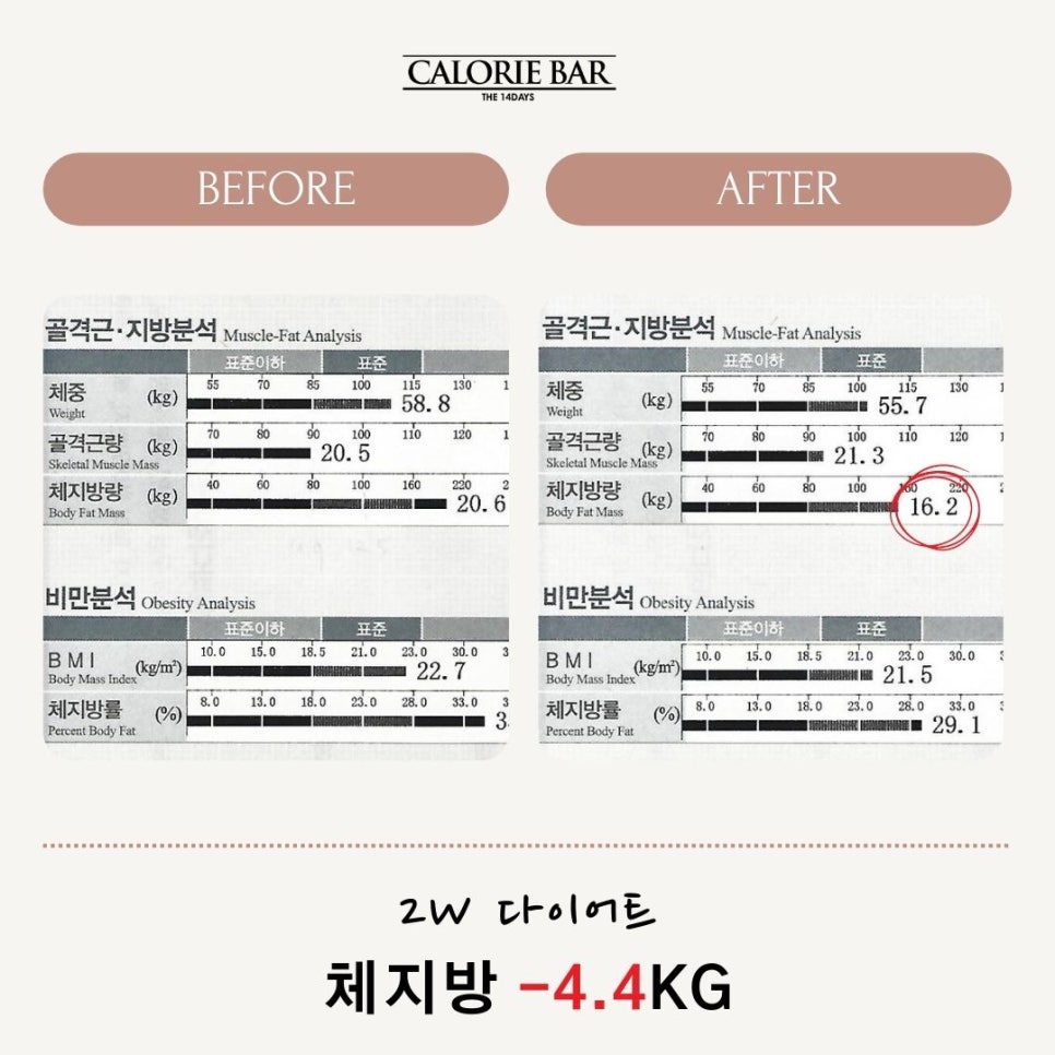 십사일동안 이미지