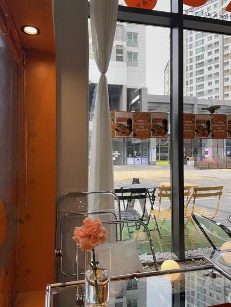 선샛 이미지