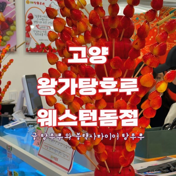 왕가탕후루웨스턴돔점 이미지
