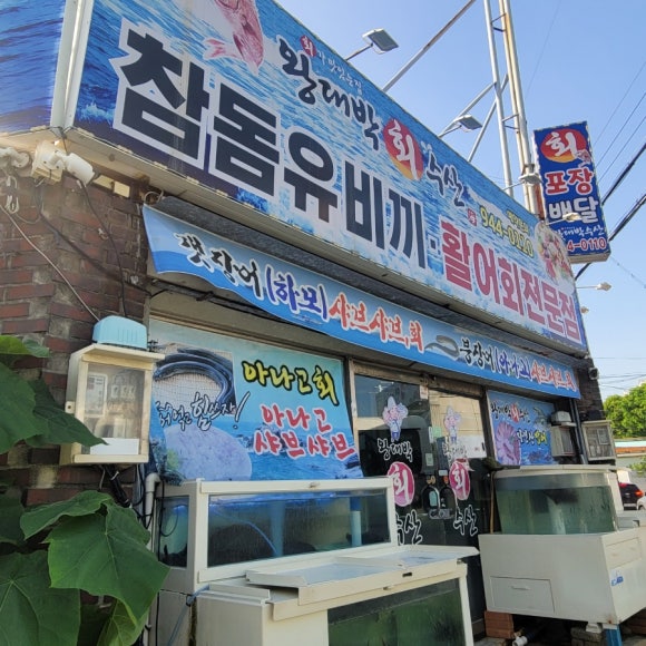 광주아나고 이미지